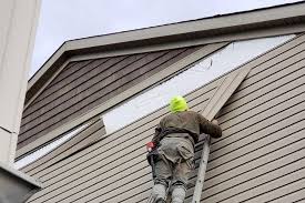 Best Siding Painting and Refinishing  in Brownsville, TX